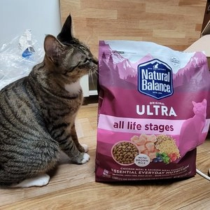 [ONLY펫프] 내추럴발란스 캣 울트라 프리미엄 WBH 닭&연어 포뮬라 4.5kg 베스트 후기 이미지