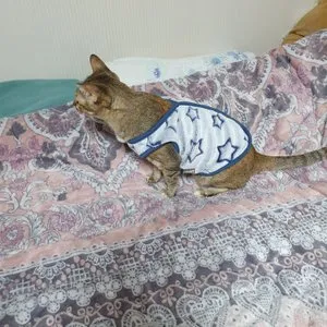 베스트 후기 이미지