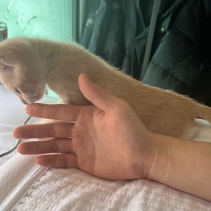 베스트 후기 이미지
