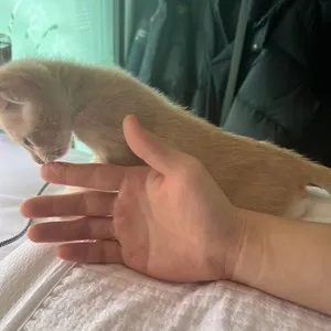 베스트 후기 이미지