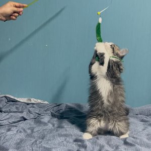 베스트 후기 이미지