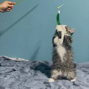 베스트 후기 이미지