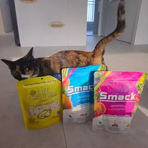 베스트 후기 이미지