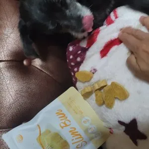 베스트 후기 이미지