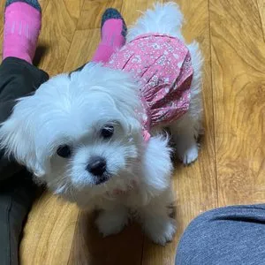 베스트 후기 이미지