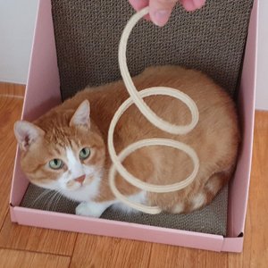 베스트 후기 이미지