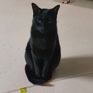 베스트 후기 이미지