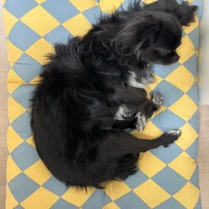 베스트 후기 이미지