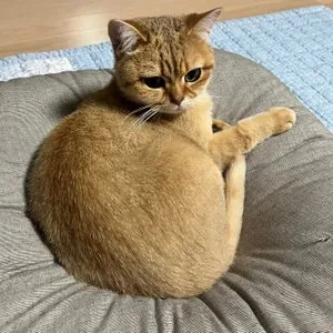 베스트 후기 이미지