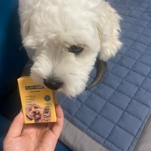 베스트 후기 이미지