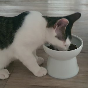 베스트 후기 이미지