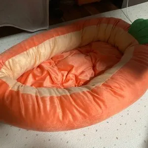 베스트 후기 이미지