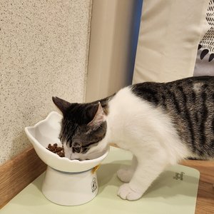 베스트 후기 이미지