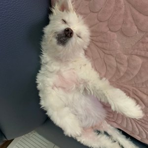 베스트 후기 이미지