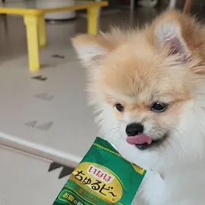 베스트 후기 이미지