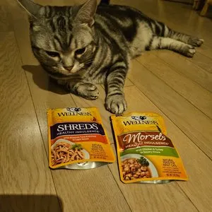 베스트 후기 이미지