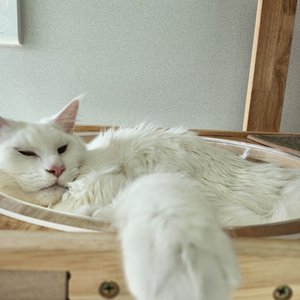 베스트 후기 이미지