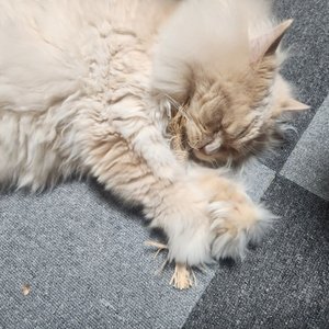 베스트 후기 이미지