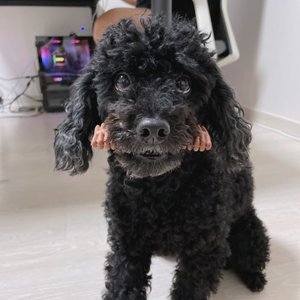 베스트 후기 이미지