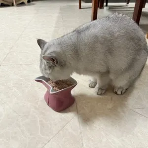 베스트 후기 이미지