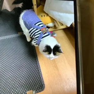 베스트 후기 이미지