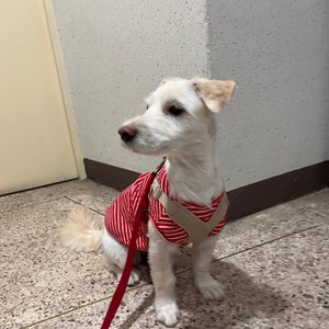 베스트 후기 이미지