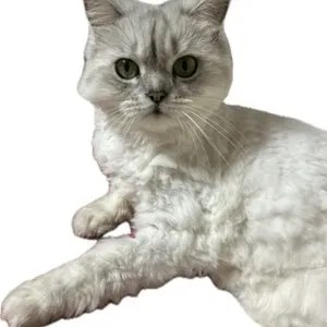 베스트 후기 이미지