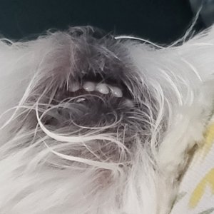 베스트 후기 이미지