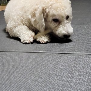 베스트 후기 이미지