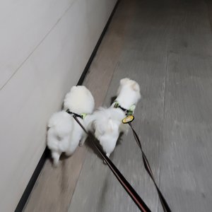 베스트 후기 이미지