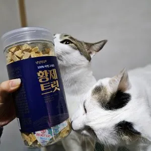 베스트 후기 이미지