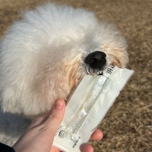 베스트 후기 이미지