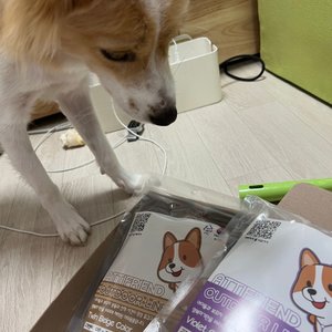 베스트 후기 이미지