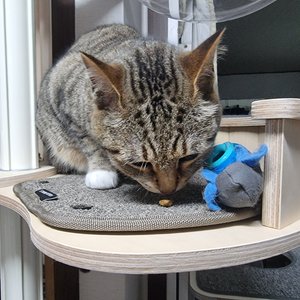 베스트 후기 이미지