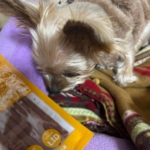 마이베프 L.I.D 저키파티 소고기 20g 베스트 후기 이미지