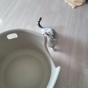 베스트 후기 이미지