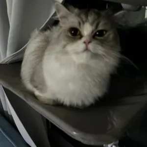 베스트 후기 이미지