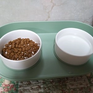 펫톤 더블다이닝 식기 그린/아이보리 베스트 후기 이미지