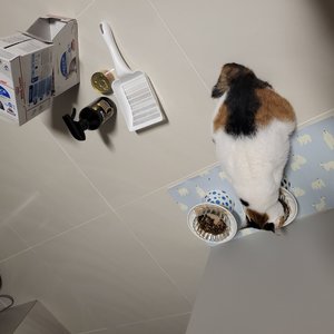 베스트 후기 이미지
