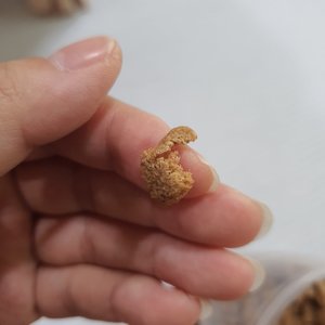베스트 후기 이미지