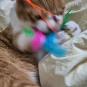 베스트 후기 이미지