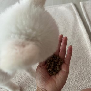 베스트 후기 이미지