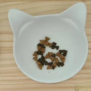 베스트 후기 이미지