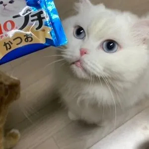 베스트 후기 이미지