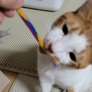 베스트 후기 이미지