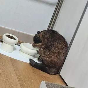 베스트 후기 이미지