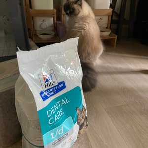 베스트 후기 이미지