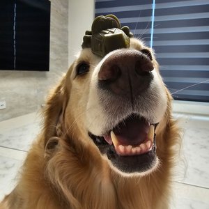 베스트 후기 이미지