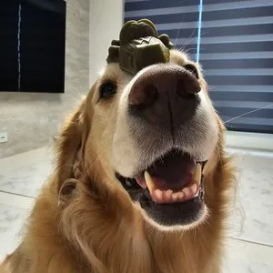 베스트 후기 이미지