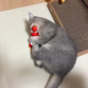 베스트 후기 이미지